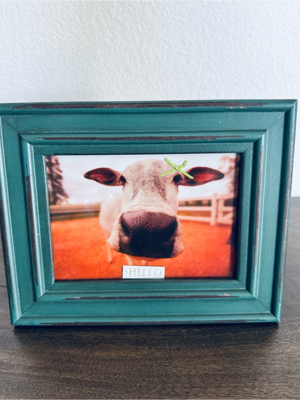 Farmhouse Cow Turquoise Framed Picture Frame Decor